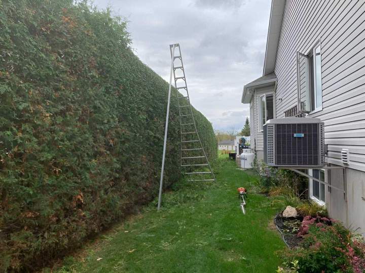Taille de haie Gatineau