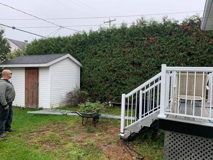 Entretien de haie de cèdre Gatineau