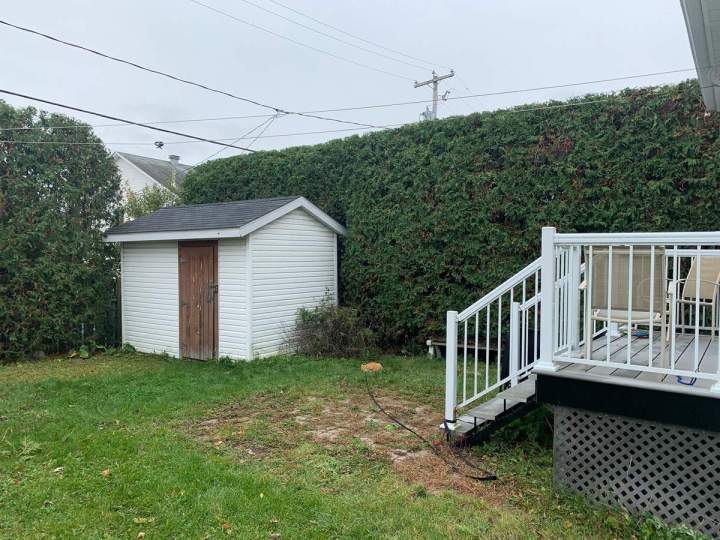 Entretien de haie de cèdre Gatineau