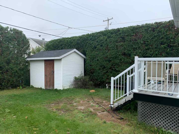 Cedar hedge maintenance Gatineau