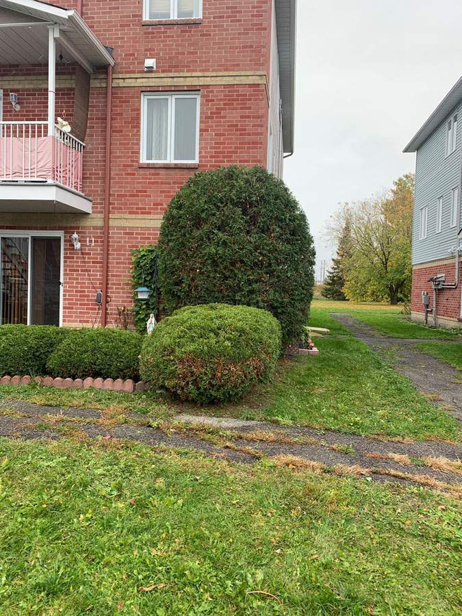 Taille de haie Gatineau