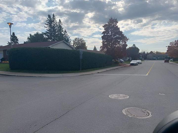 Entretien de haie de cèdre Gatineau