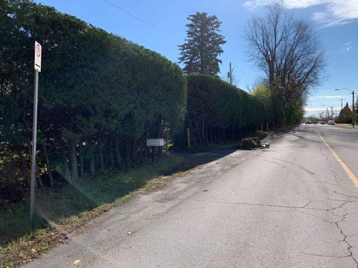 Service de taille de haies Gatineau