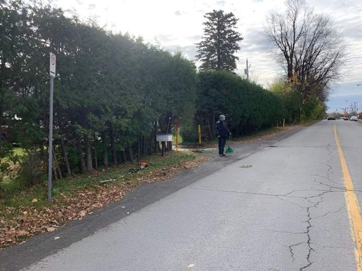 Entretien de haie de cèdre Gatineau