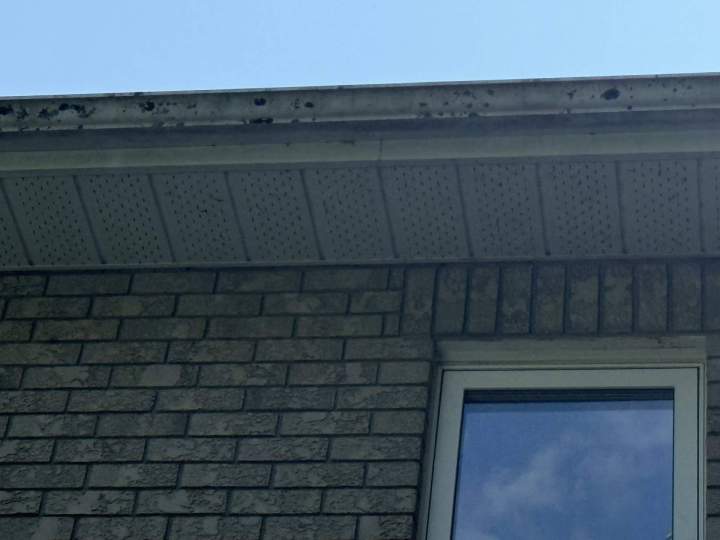 504379152 1302401811888138 4635539646727955739 n