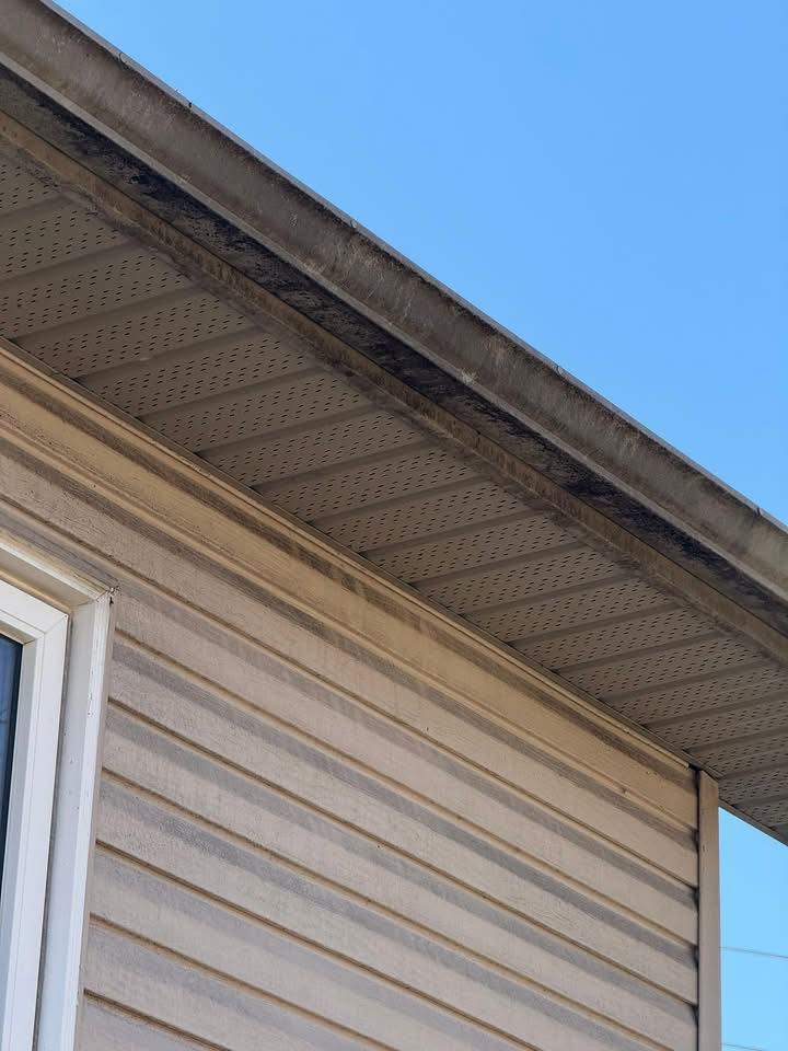 519618815 1302403598554626 3260150368284940038 n