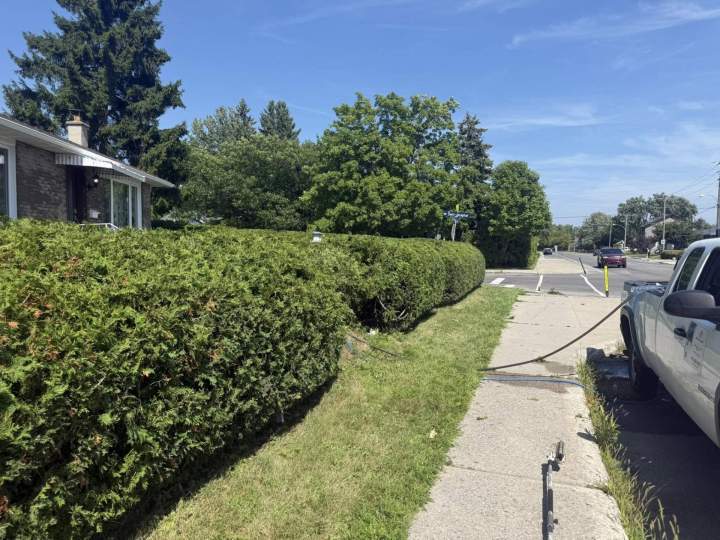 521170688 1305689248226061 7784257338057383601 n