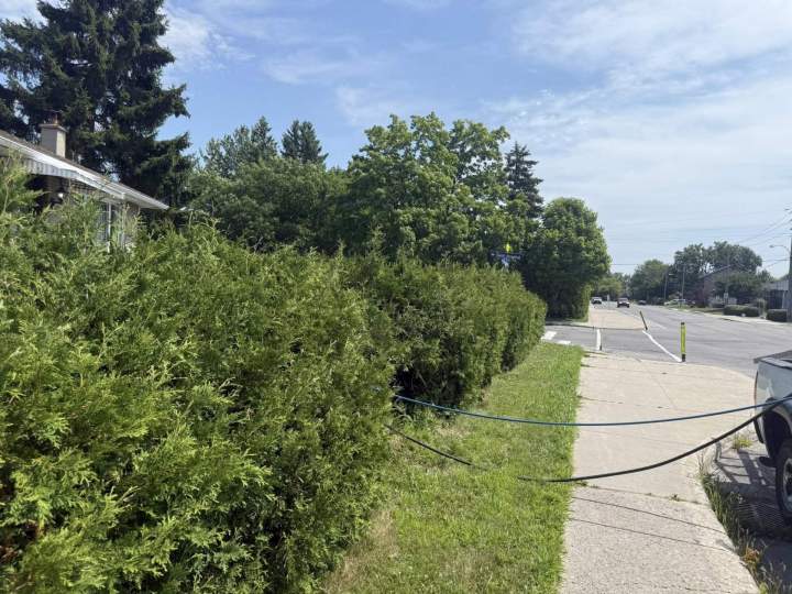 522461109 1305689251559394 5757457219371934606 n