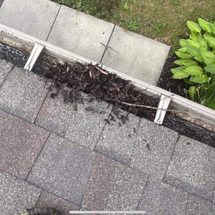 525037084 1306542068140779 6287331159585624271 n