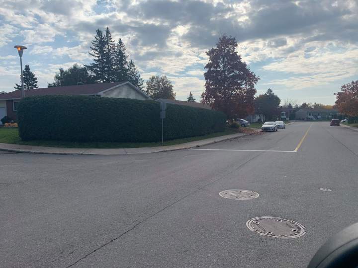 Taille de haie, Buckingham