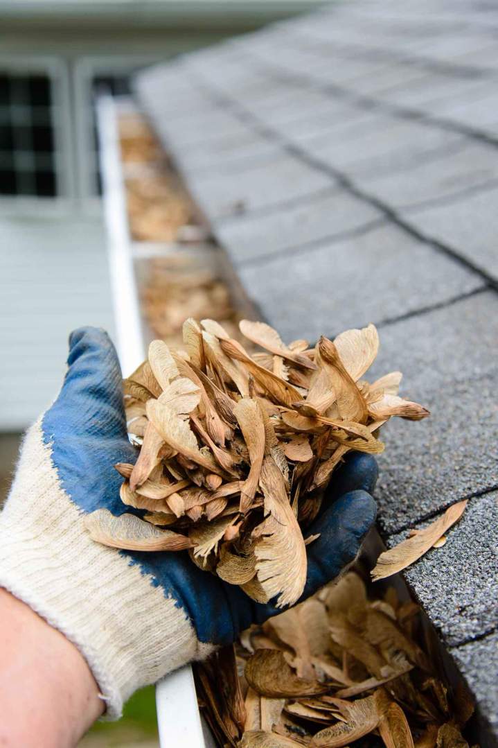 Service de nettoyage de gouttières Gatineau